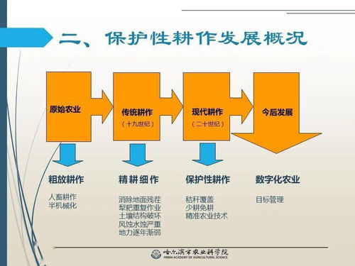 党建引领谋发展 科技助农备春耕 网络课堂 保护性耕作技术推广应用